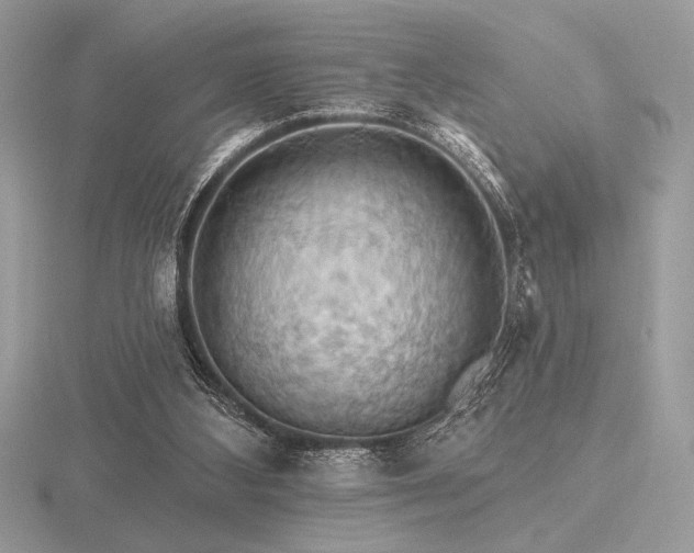 X0000116490108200912091429