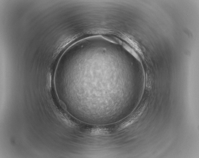 X0000116490109200912091429