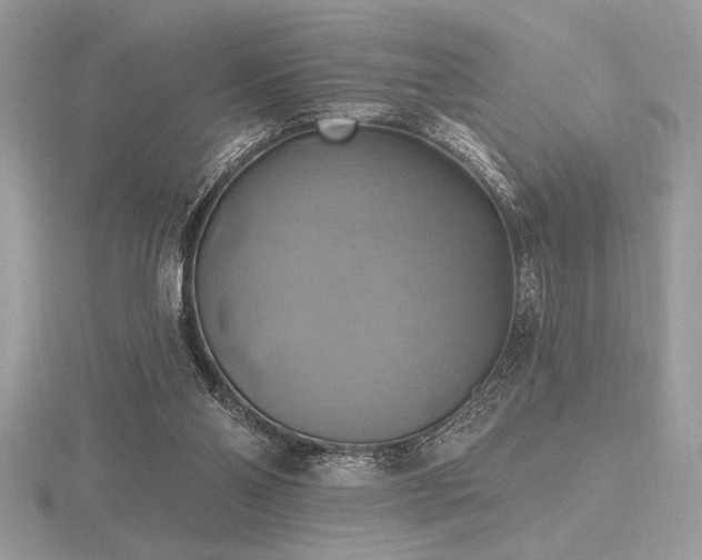 X0000116490110200912091429