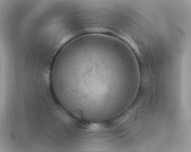 X0000116490111200912091429