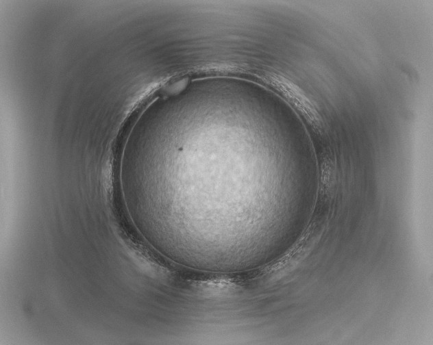 X0000116490112200912091429