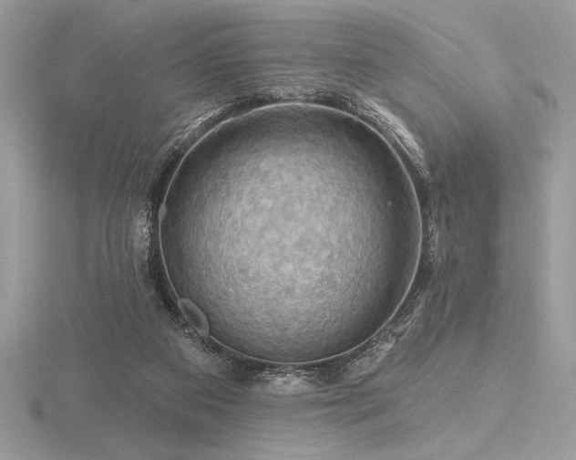 X0000116490113200912091429