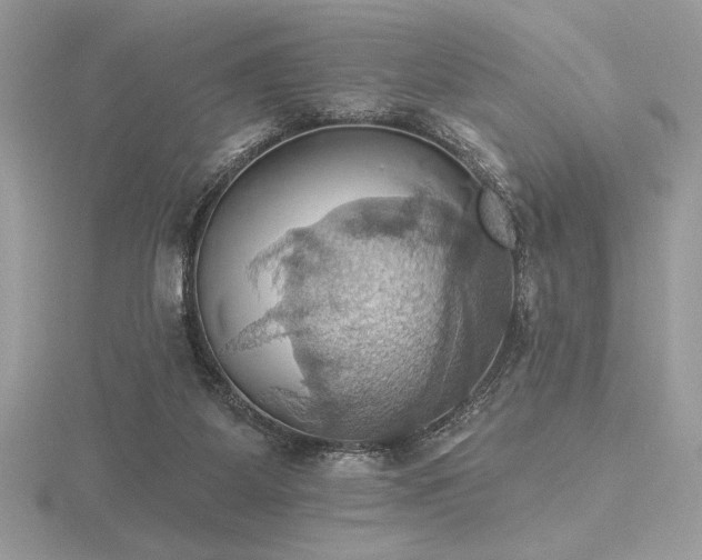 X0000116490115200912091429