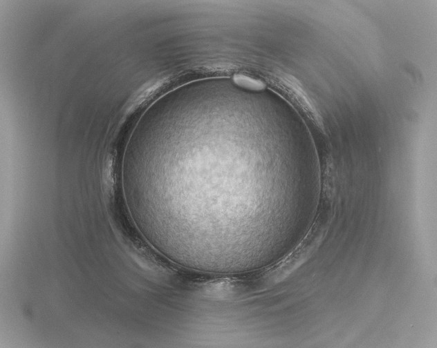 X0000116490116200912091429