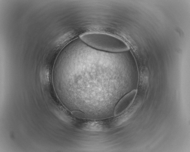 X0000116490117200912091429