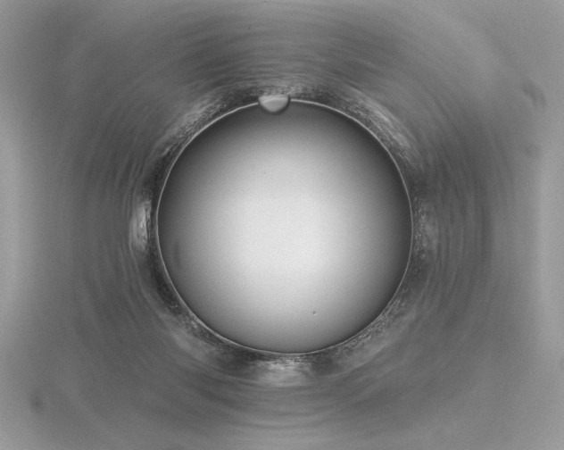 X0000116490118200912091429