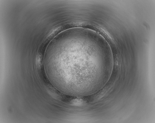 X0000116490119200912091429