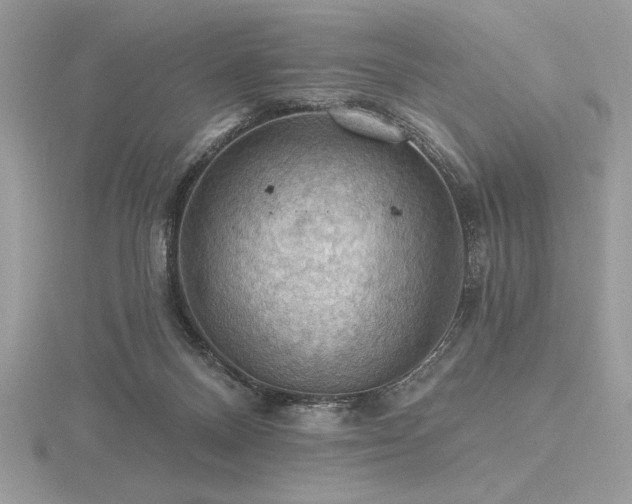 X0000116490120200912091429