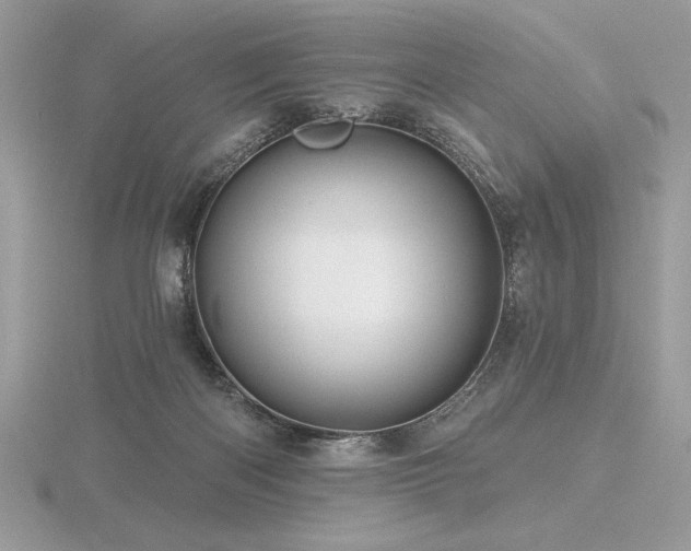 X0000116490122200912091429