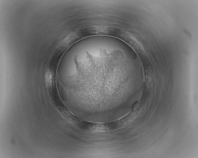 X0000116490123200912091429