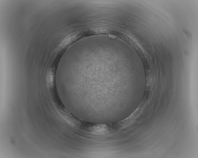 X0000116490124200912091429