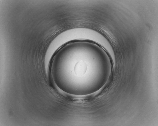 X0000116490125200912091428