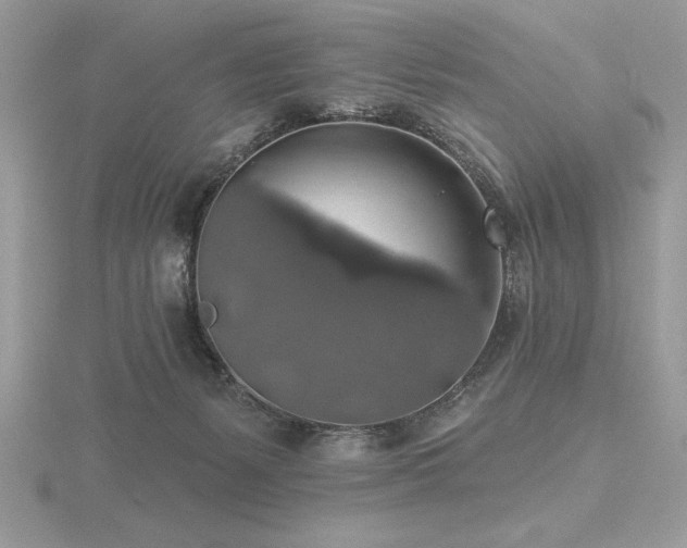 X0000116490127200912091428