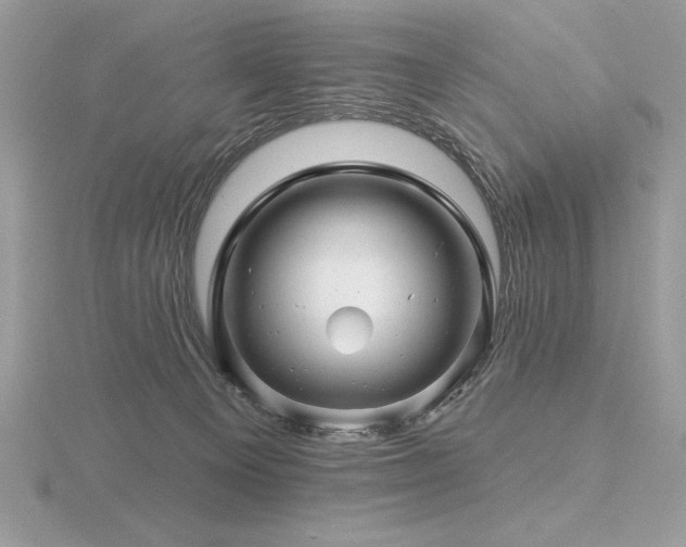 X0000116490129200912091428