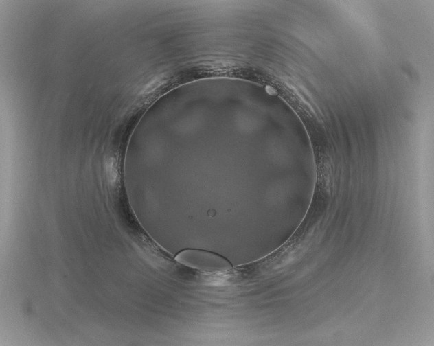 X0000116490131200912091428