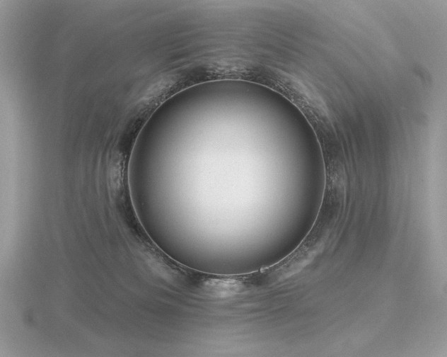 X0000116490133200912091428