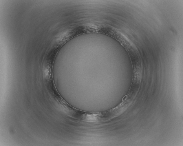 X0000116490134200912091428