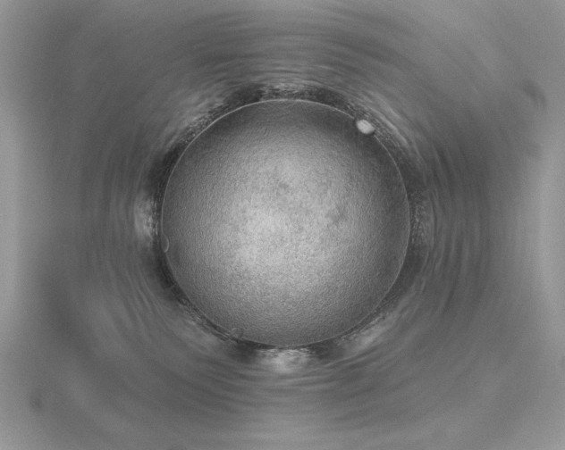 X0000116490135200912091428