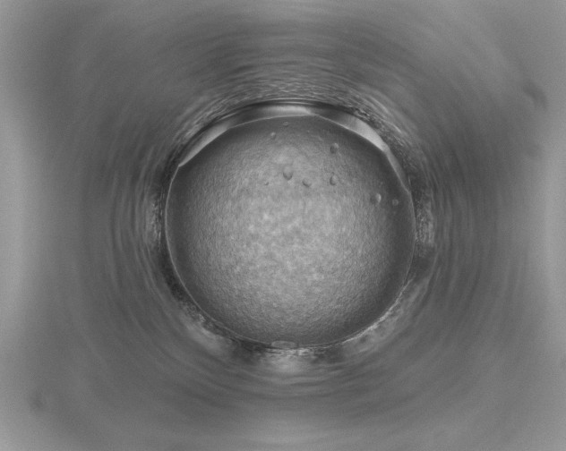 X0000116490136200912091428