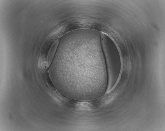 X0000116490137200912091428