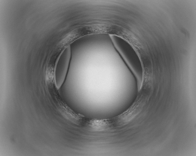 X0000116490141200912091428