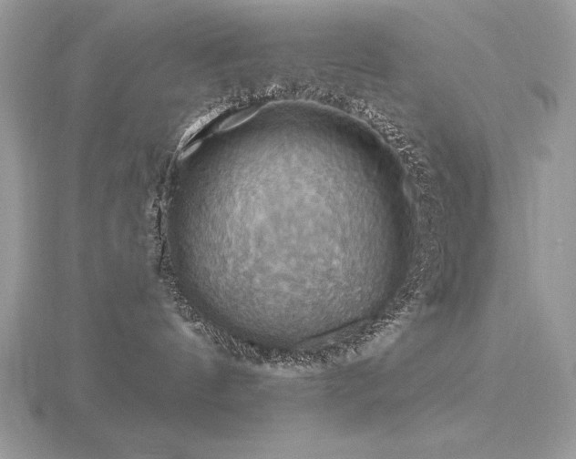 X0000116490144200912091428