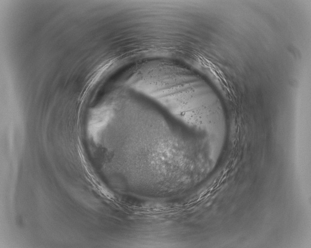 X0000116490145200912091427