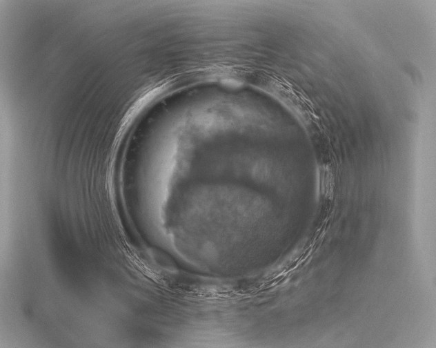 X0000116490147200912091427