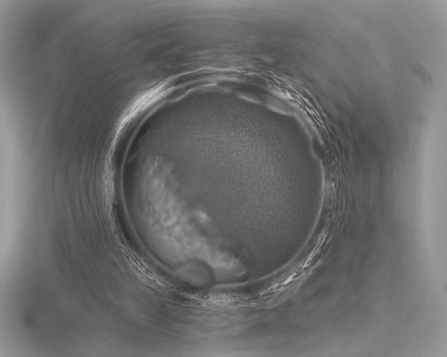 X0000116490149200912091428