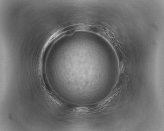 X0000116490150200912091428