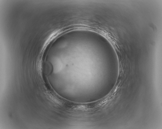 X0000116490151200912091428