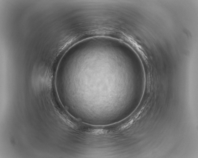 X0000116490153200912091428