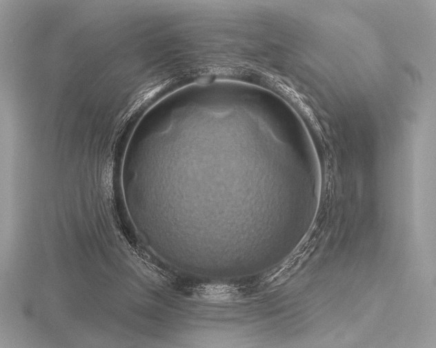 X0000116490154200912091428