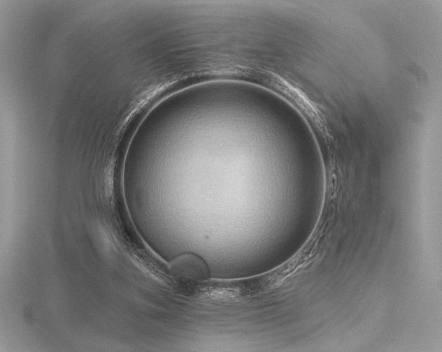 X0000116490155200912091428