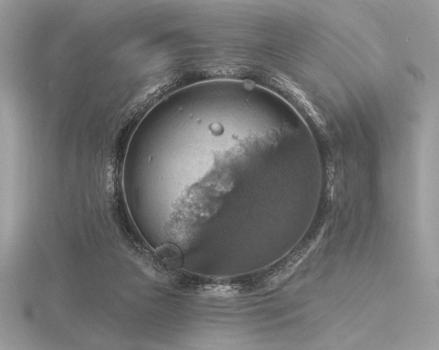 X0000116490161200912091428