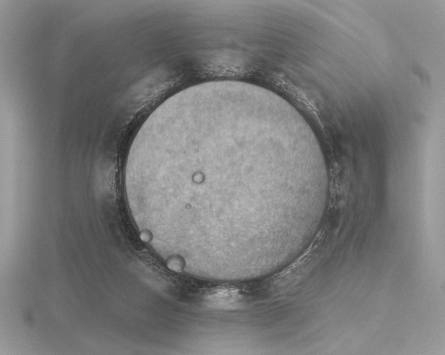 X0000116490162200912091428