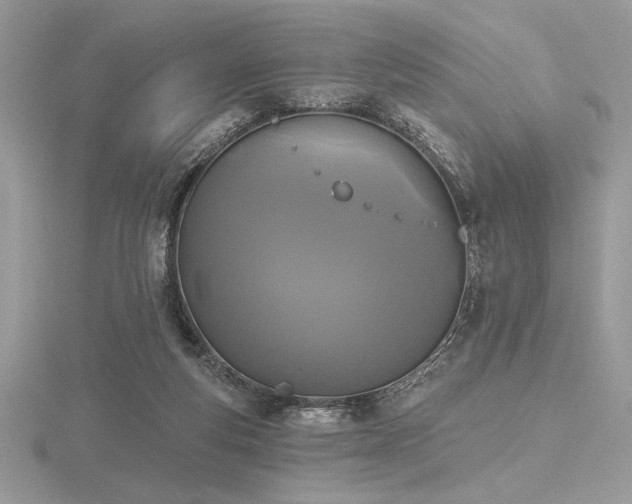 X0000116490163200912091428