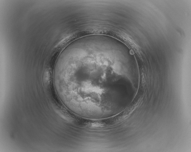 X0000116490165200912091428