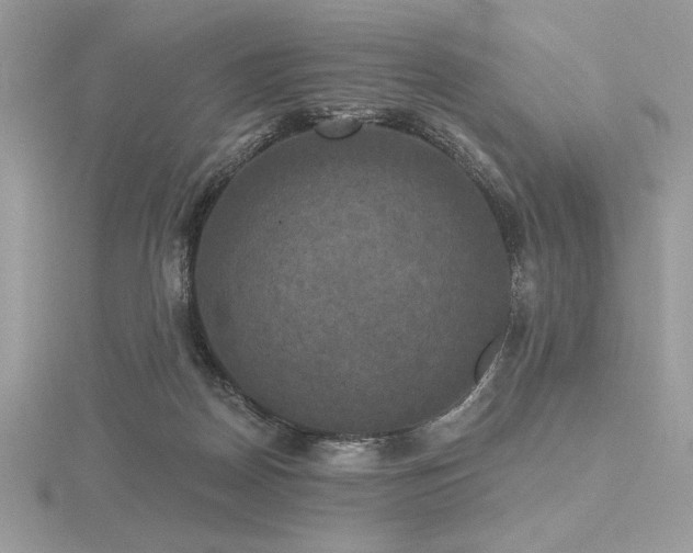 X0000116490170200912091428