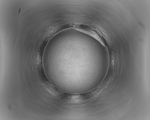 X0000116490173200912091428