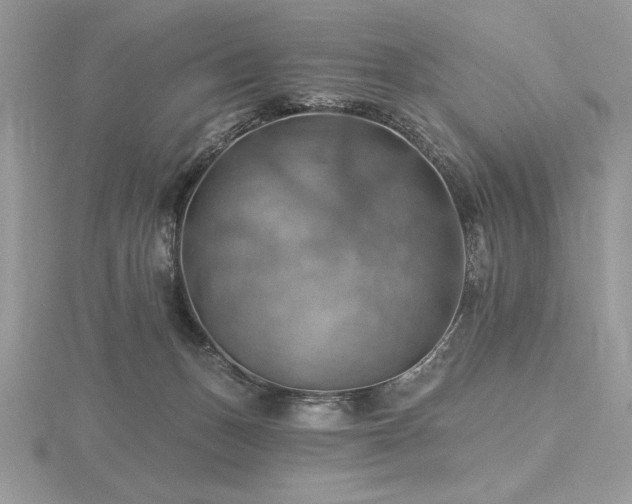 X0000116490175200912091428