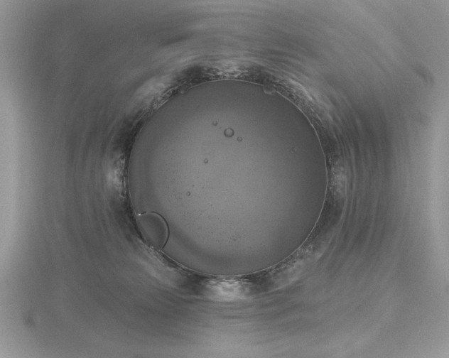 X0000116490181200912091428