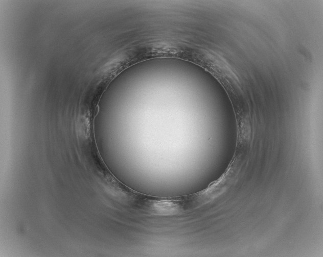 X0000116490183200912091428