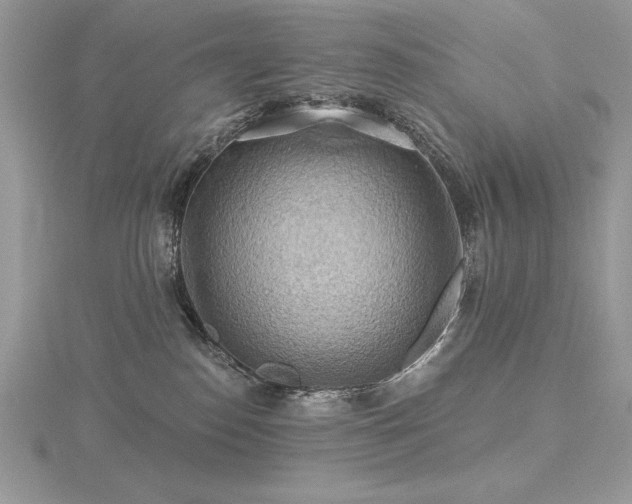 X0000116490186200912091428