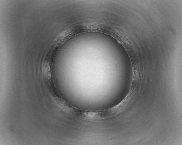 X0000116490187200912091428