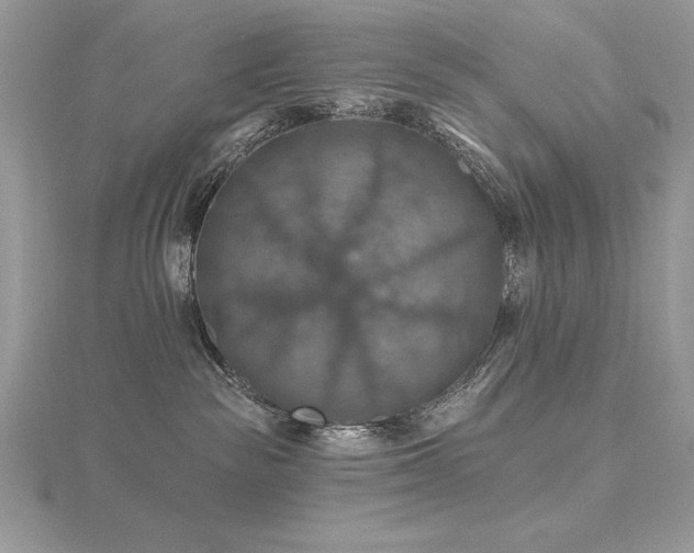 X0000116490189200912091428