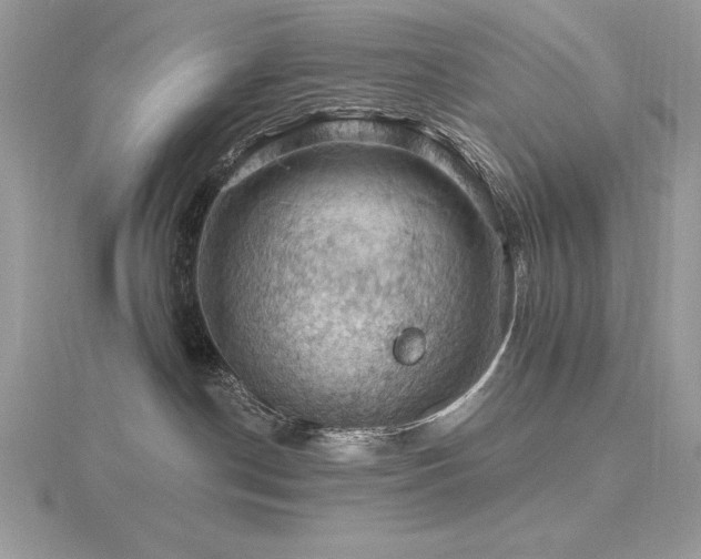 X0000116490190200912091428