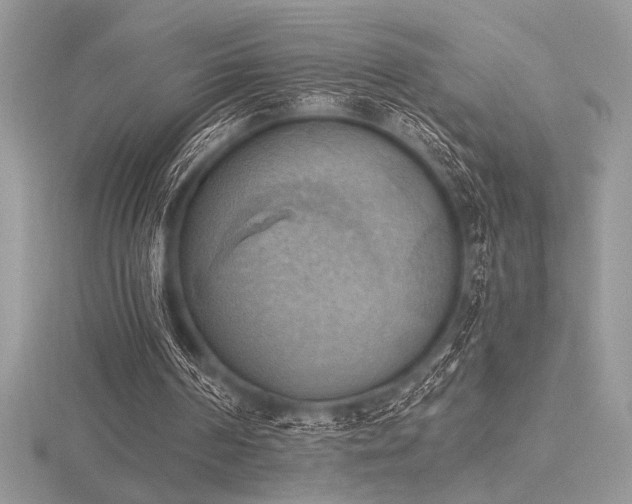 X0000116490194200912091427