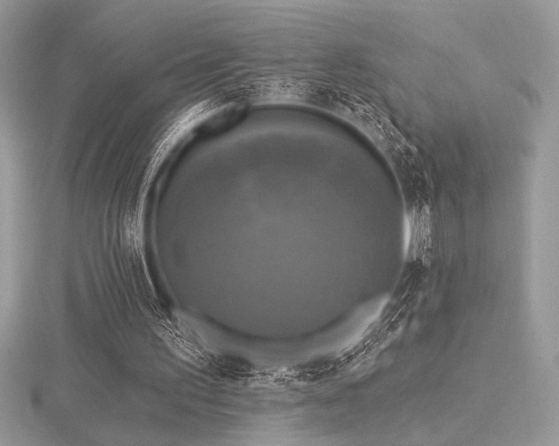 X0000116490195200912091427