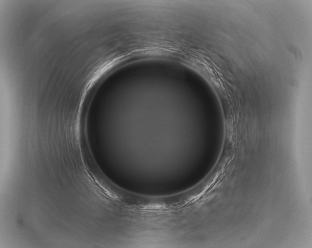 X0000116490196200912091427